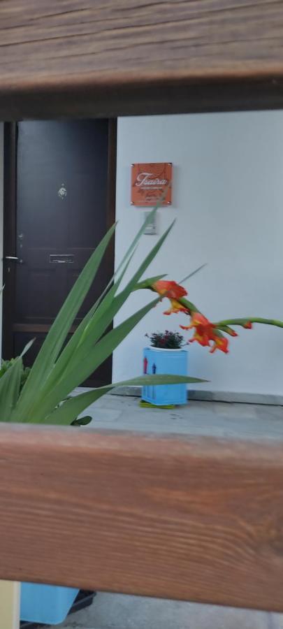 Apartment Tsaira Ammouliani Dış mekan fotoğraf